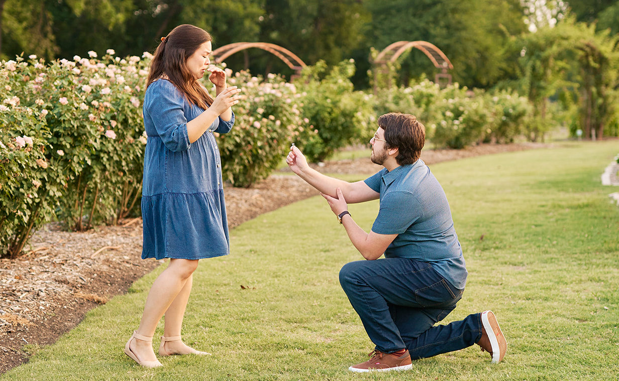 man on one knee proposing to his girlfriend at the rose gardens of Farmers Branch